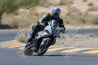 media/May-14-2023-SoCal Trackdays (Sun) [[024eb53b40]]/Turn 5 Tree of Life (1125am)/